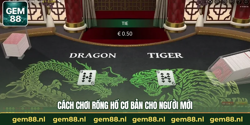 Cách chơi rồng hổ cơ bản cho người mới