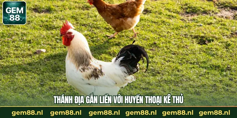 Thánh địa gắn liền với huyền thoại kê thủ