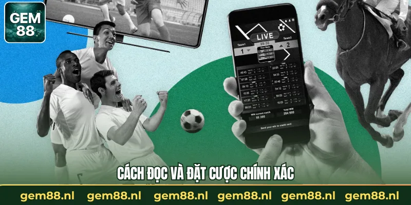 Cách đọc và đặt cược chính xác