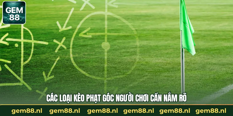 Các loại kèo phạt góc người chơi cần nắm rõ
